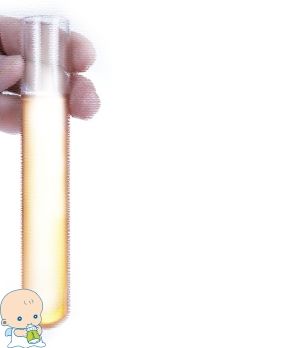 生殖内分泌专家